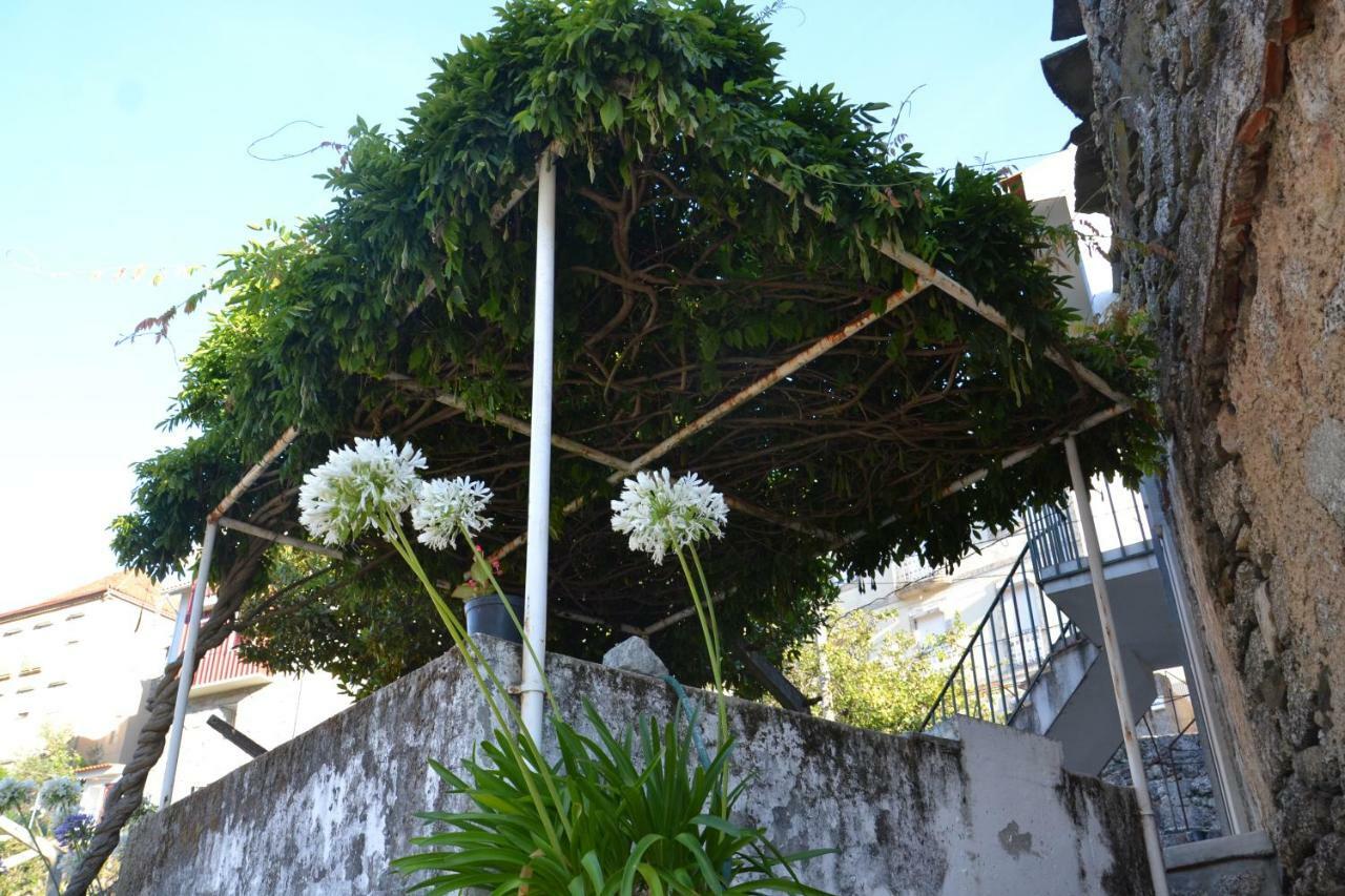 فيلا Casa Da Ponte Do Arrocho لوريغا المظهر الخارجي الصورة